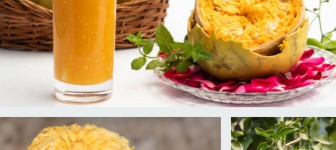 BAEL — the golden fruit of summer.